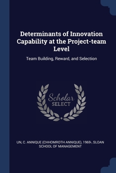Paperback Determinants of Innovation Capability at the Project-team Level: Team Building, Reward, and Selection Book
