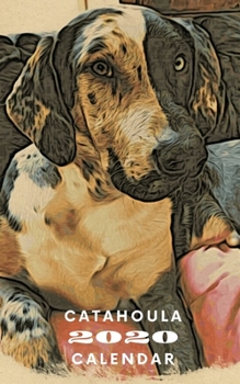 Paperback Catahoula 2020 Calendar: Mini Pocket Daily Weekly Monthly Yearly Diary Planner - Catahoula Leopard Dog Gifts for Louisiana Cur Mom Dad Owners a Book