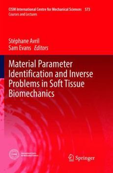 Paperback Material Parameter Identification and Inverse Problems in Soft Tissue Biomechanics Book