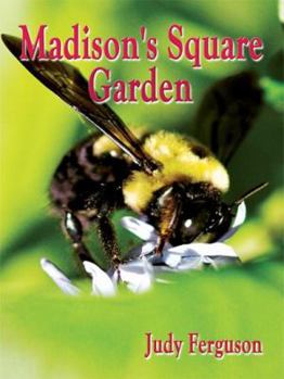 Paperback Madison's Square Garden Book
