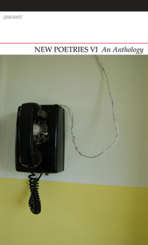 Paperback New Poetries VI: An Anthology Book