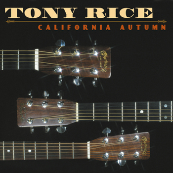 Vinyl California Autumn Book