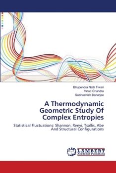 Paperback A Thermodynamic Geometric Study Of Complex Entropies Book