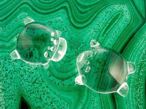 Diskette Critter Magnifier (Hippo) Book