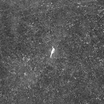 Vinyl The Last Garden Book