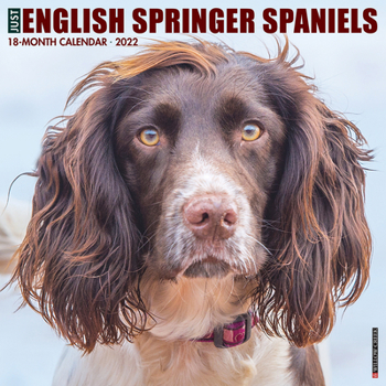 Calendar Just English Springer Spaniels 2022 Wall Calendar (Dog Breed) Book