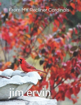 Paperback From MY Recliner Cardinals Book