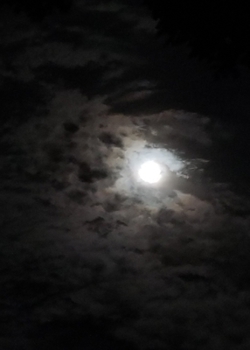 Paperback Moonlit Sky Journal Book