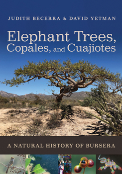 Paperback Elephant Trees, Copales, and Cuajiotes: A Natural History of Bursera Book