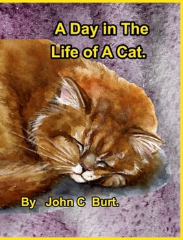 Hardcover A Day in The Life of A Cat. Book