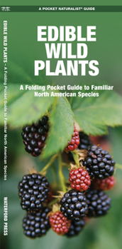 Paperback Edible Wild Plants: A Folding Pocket Guide to Familiar North American Species Book