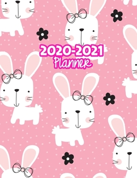 2020-2021 Planner: Two Year Calendar Organizer and Goal Journal | January 2020 - December 2021 Daily, Weekly and Monthly Planner Book with Back Sticker Expression Wall for 2 Years | Design Code 399947