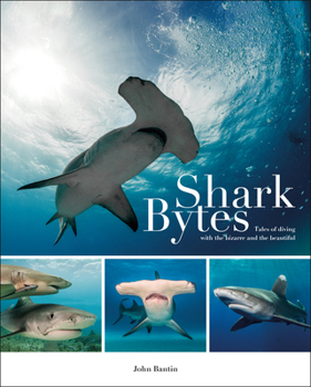 Paperback Shark Bytes: Tales of Diving with the Bizarre and the Beautiful Book