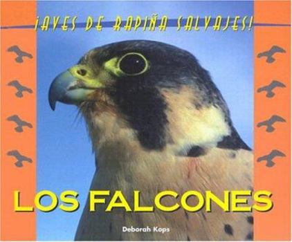 Hardcover El Falcon Book