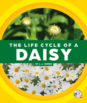 Library Binding The Life Cycle of a Daisy Book