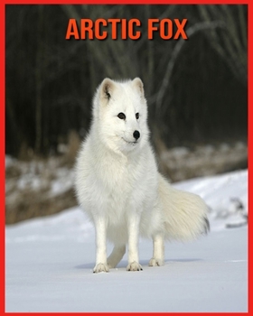 Arctic Fox: Super Fun Facts And Amazing Pictures