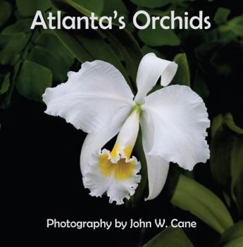 Atlanta's Orchids