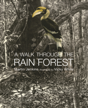 Library Binding Walk Through the Rain Forest Book