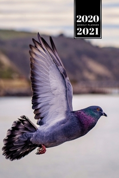 Pigeon Ornithology Bird Watching Birding Week Planner Weekly Organizer Calendar 2020 / 2021 - Above the Lake: Cute Wildlife Animal Pet Bullet Journal Notebook Diary in 6” x 9” Inch Pocket Size