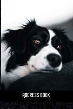 Address Book: Border Collie - Phone & contact book -All contacts at a glance - 120 pages in alphabetical order / size 6x9  (A5)