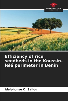 Paperback Efficiency of rice seedbeds in the Koussin-lélé perimeter in Benin Book