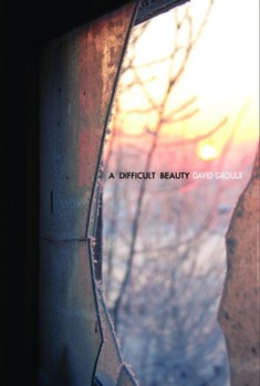 Paperback A Difficult Beauty Book
