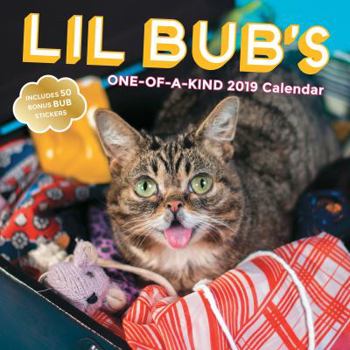 Calendar Lil Bub 2019 Wall Calendar Book