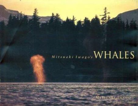 Hardcover Mitsuaki Iwago's Whales Book