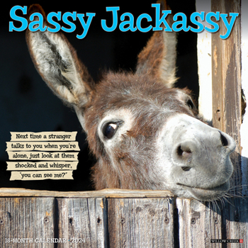 Calendar Sassy Jackassy 2024 12 X 12 Wall Calendar Book