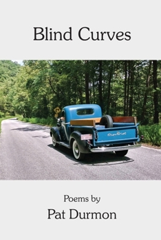Paperback Blind Curves Book