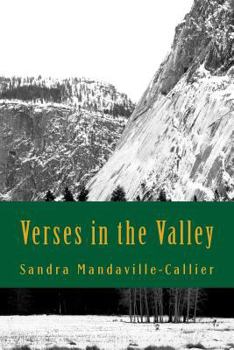 Paperback Verses in the Valley: Poems and Prayers for Pursuing Your Purpose Book