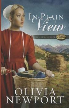 In Plain View - Book #2 of the Valley of Choice
