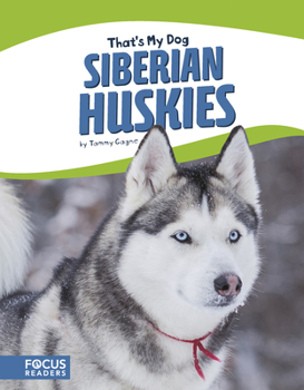 Paperback Siberian Huskies Book