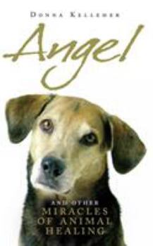 Hardcover Angel : And Other Miracles of Holistic Animal Healing Book
