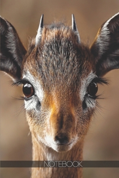 Paperback Notebook: Cute and adorable Dik dik antelope [110 pages]: Cute and adorable Dik dik antelope Book