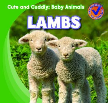 Lambs - Book  of the Cute and Cuddly: Baby Animals