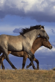 Paperback 2020 Daily Planner Horse Photo Equine Running Yearlings 388 Pages: 2020 Planners Calendars Organizers Datebooks Appointment Books Agendas Book