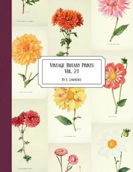 Paperback Vintage Botany Prints: Vol. 21 Book