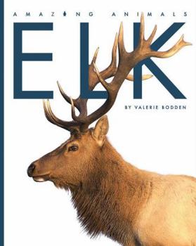 Elk - Book  of the Amazing Animals