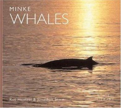 Paperback Minke Whales Book