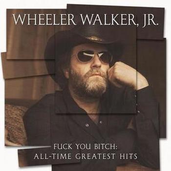 Vinyl Fuck You Bitch: All Time Greatest Hits Book