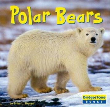 Hardcover Polar Bears Book