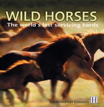 Hardcover Wild Horses: The World's Last Surviving Herds Book