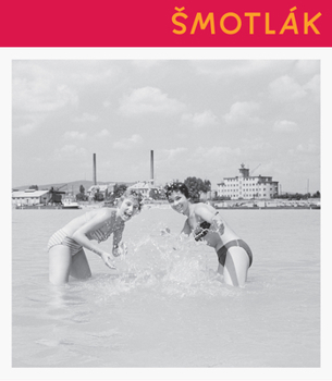 Hardcover Anton Smotlak [Slovenian] Book