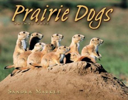 Paperback Prairie Dogs Book