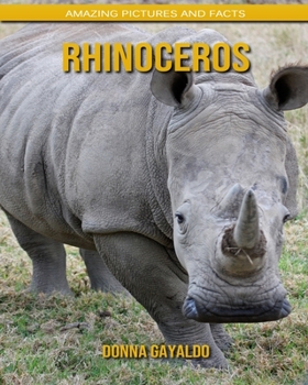 Rhinoceros: Amazing Pictures and Facts