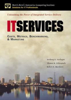 Hardcover It Services Costs, Metrics, Benchmarking and Marketing Book