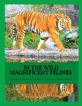 Paperback In The Wild Magnificent Felines: An Adult Grayscale Coloring Book