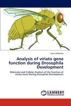 Analysis of viriato gene function during Drosophila Development: Molecular and Cellular Analysis of the Function of viriato Gene During Drosophila Development