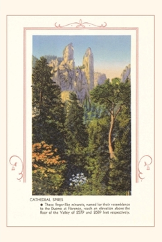 Paperback The Vintage Journal Cathedral Spires, Yosemite, California Book